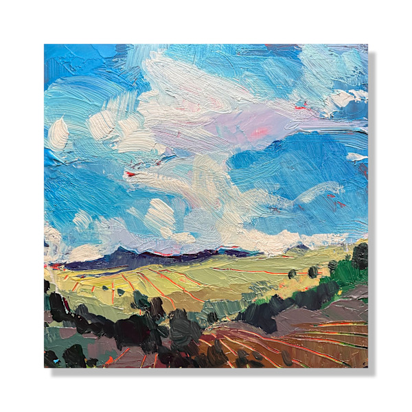 Southern Skies by Samantha Williams-Chapelsky