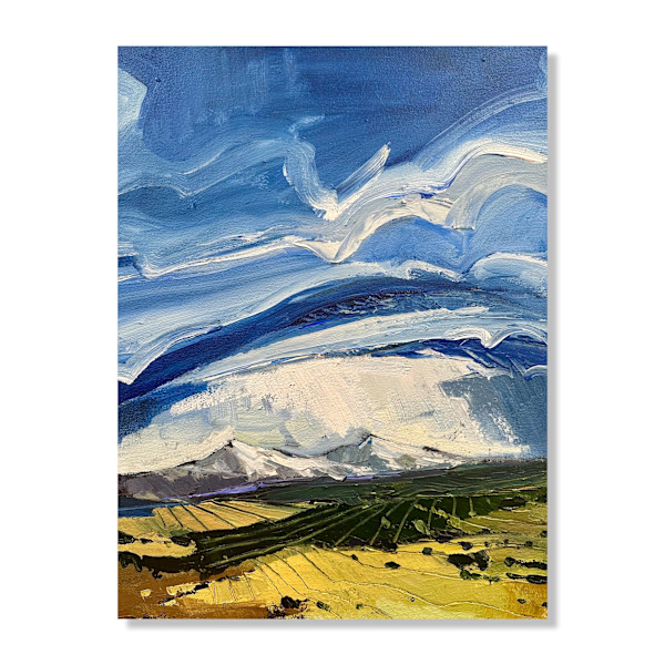 Rocky boarder by Samantha Williams-Chapelsky