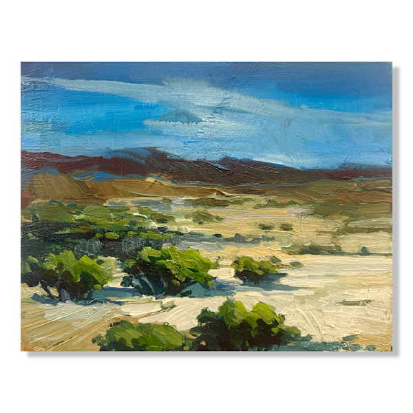 Sun drenched by Samantha Williams-Chapelsky