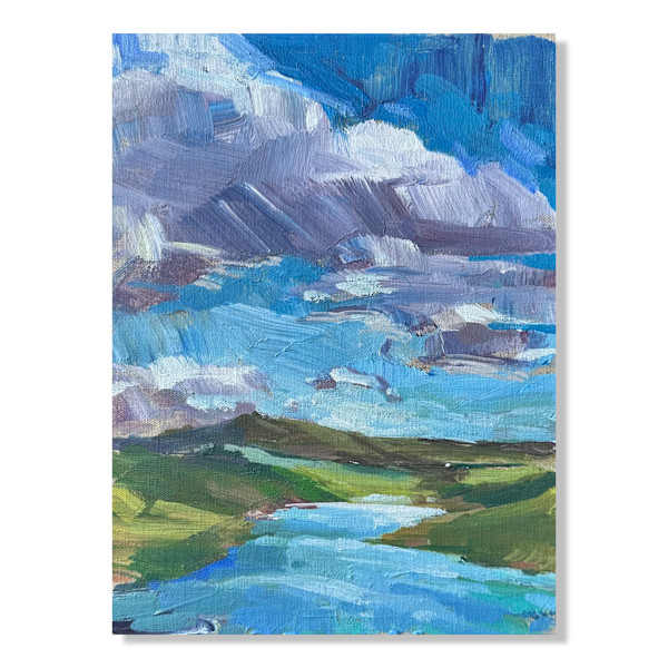 Cloudy skies by Samantha Williams-Chapelsky