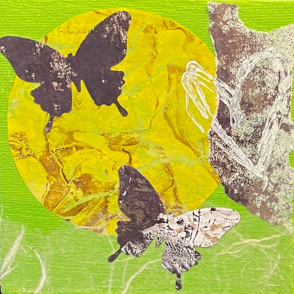Sunflies by Denise Gunter, Image 15.