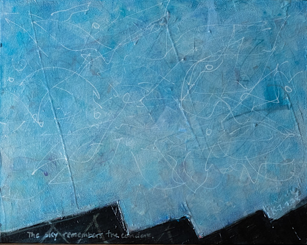the sky remembers the condors by Kevin Johnson