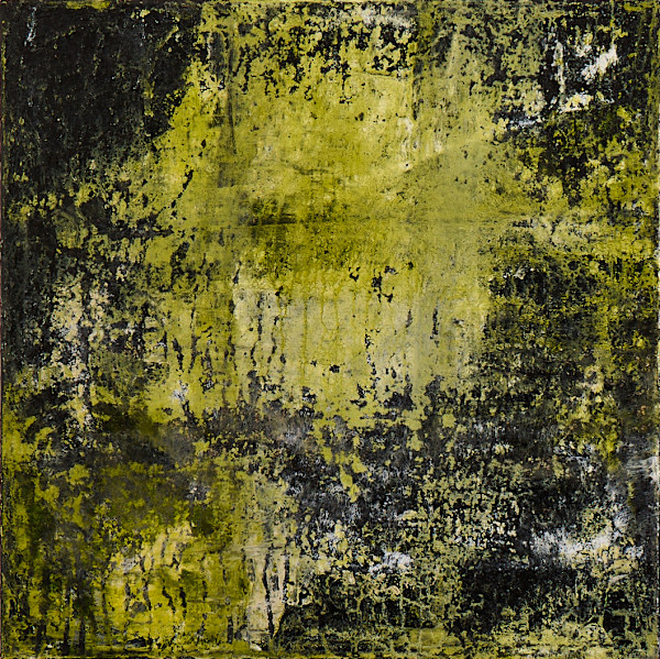 moon lit meadow by Joy Brenner