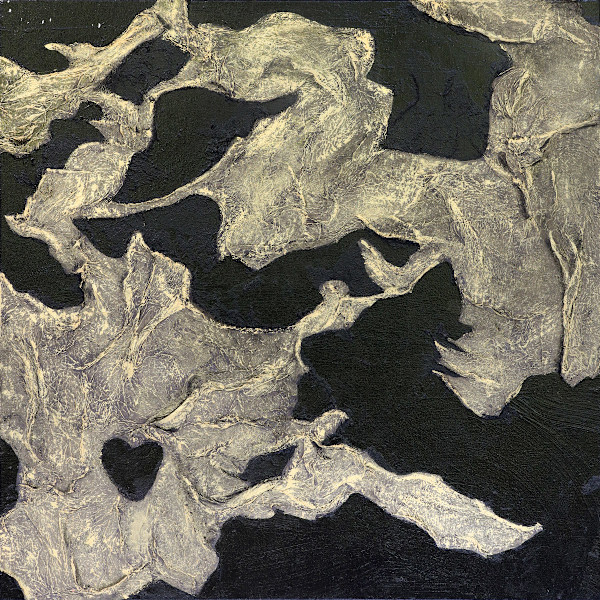 Middle of a Mess by Margo Collins