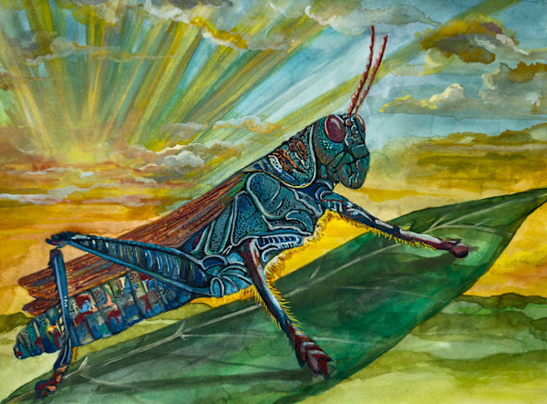 Dawnstrider by Linda McClure