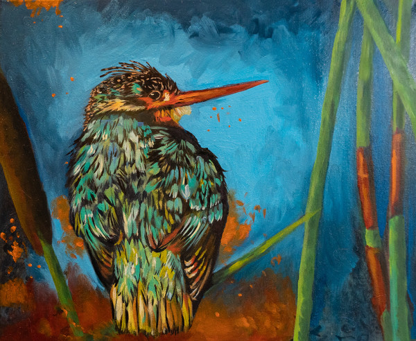 kingfisher_ibd8an_3 by Linda McClure