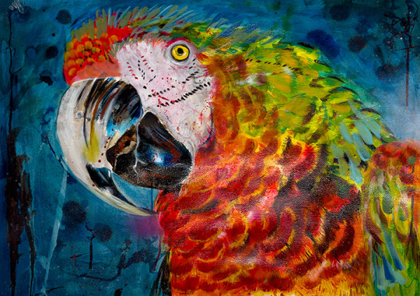 Parrot by Linda McClure