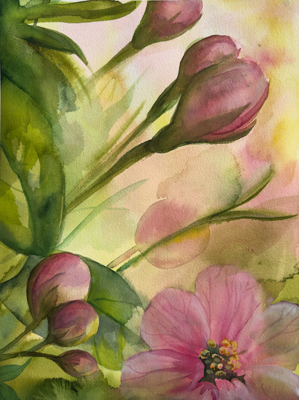 Pink Spring by Linda McClure