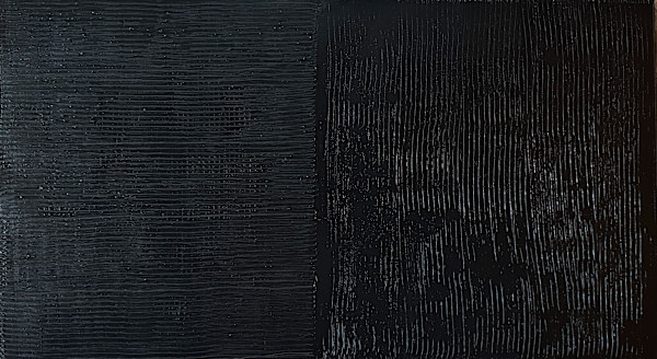 Shiny by Francie Lyshak