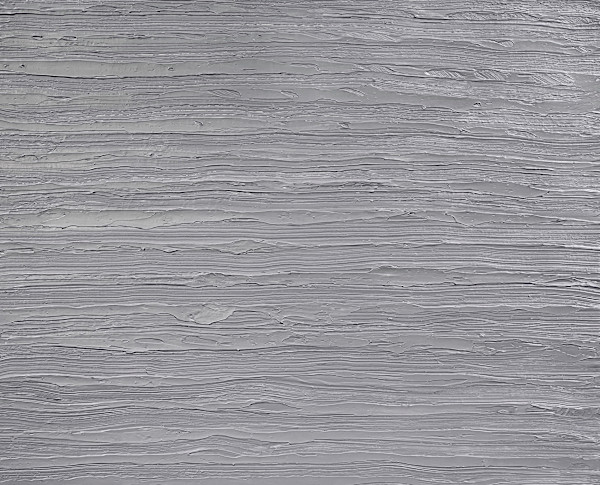 Scraped Grey by Francie Lyshak