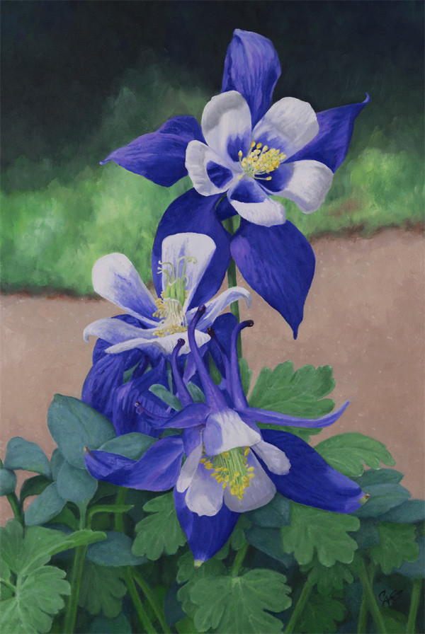 Blue Stars Blossom by Christine O'Brien