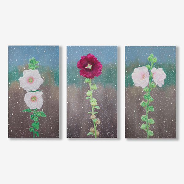 Hollyhock Triptych by Christine O'Brien