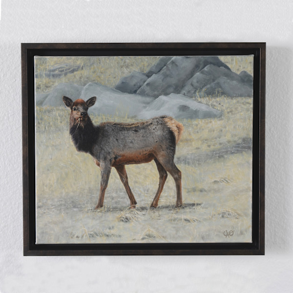 Soda Creek Elk by Christine O'Brien