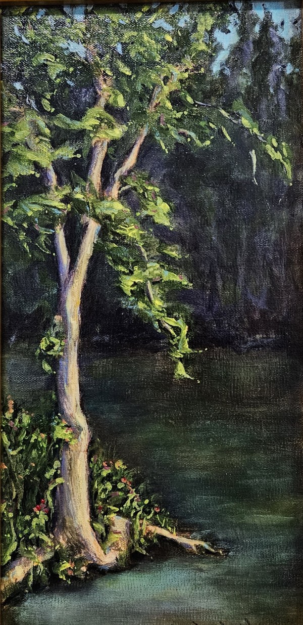 At a Glance by A. Wendy Warner