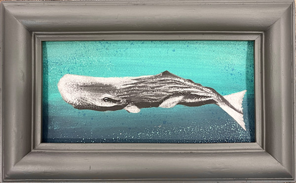 Physeter Macrocephaulus by Alex Di Silvestro