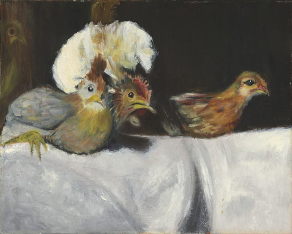 Icelandic Chicks by Susan Johnson