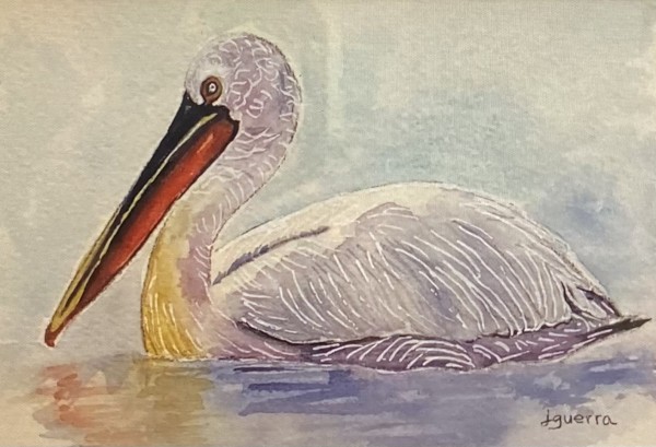 Pelican by Jennifer G. Guerra