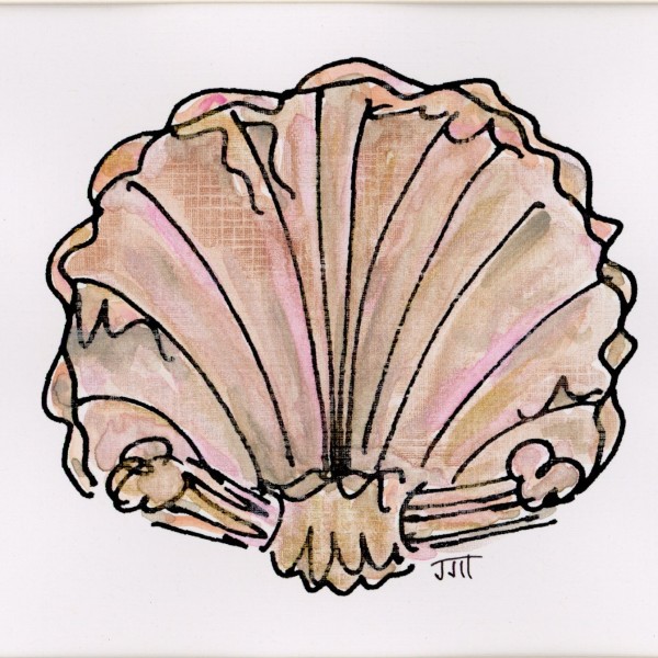 Decorative Shell #3 by JJ Hogan