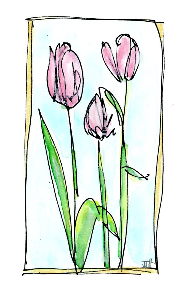 Trinity Tulips by JJ Hogan
