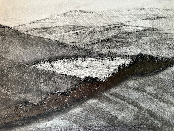 Morning Drawing by Dita Jacobovitz