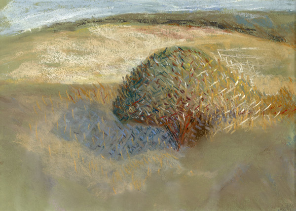 Tree in Pastel by Dita Jacobovitz