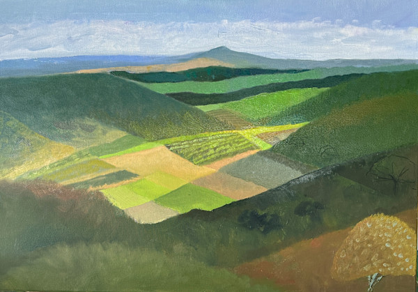 Signing by Dita Jacobovitz