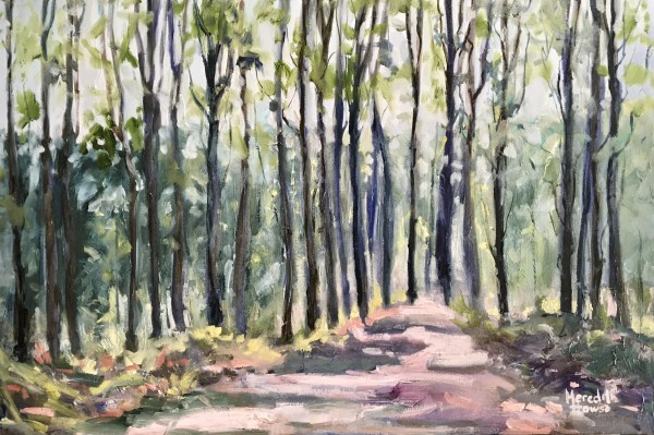 Walks on Mount Coot-tha by Meredith Howse Art