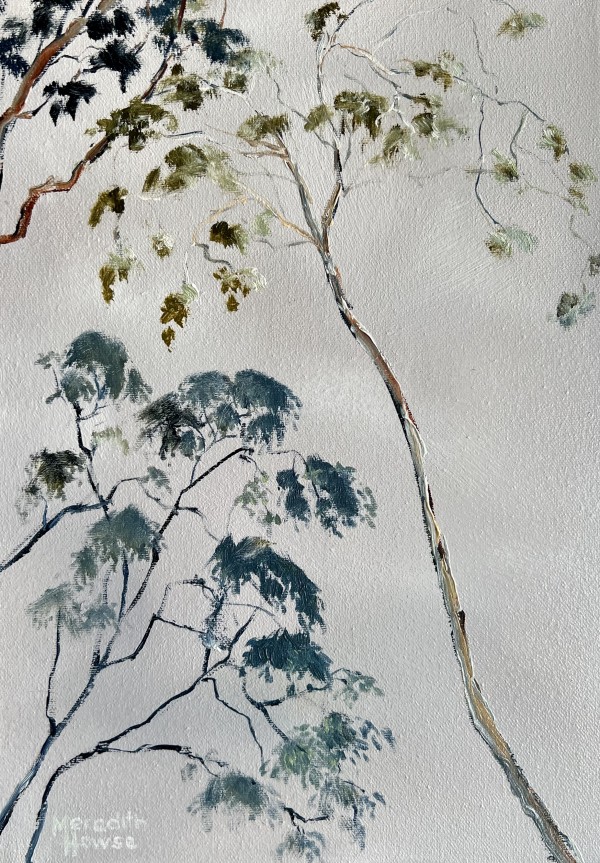 Illumination Gum Tree Reach by Meredith Howse Art