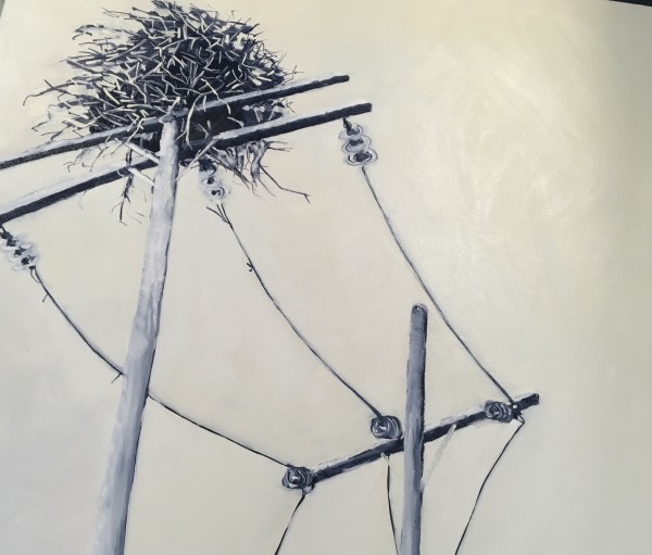 Osprey of Booti Booti by Meredith Howse Art
