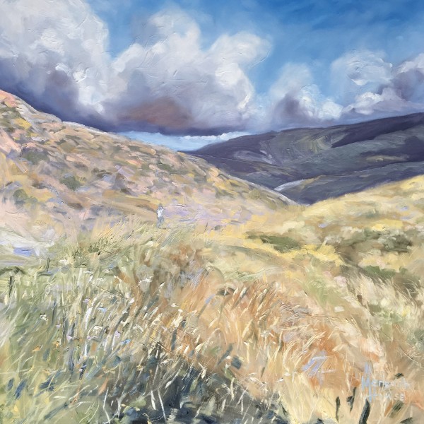 Walk with the Clouds by Meredith Howse Art