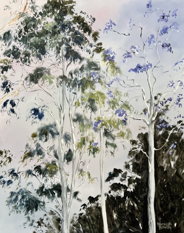 Illumination of Trees by Meredith Howse Art