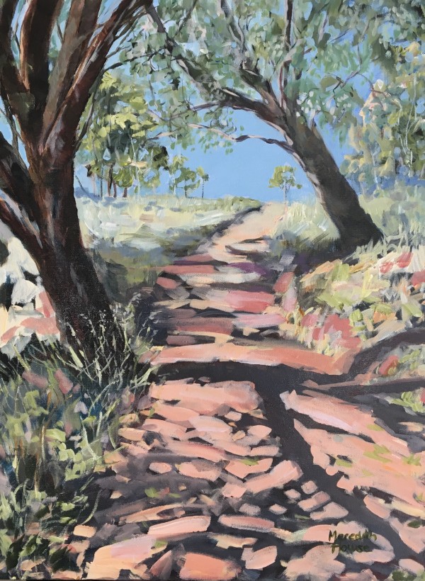 Trail of Mount Painter by Meredith Howse Art