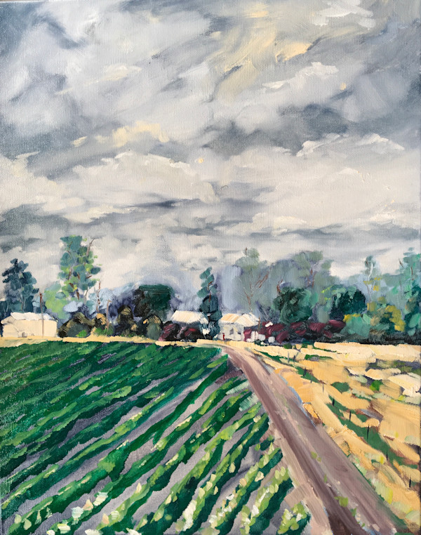 ‘Holdfast’, Yetman by Meredith Howse Art