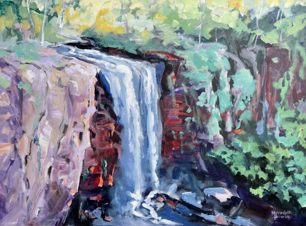 Queen Mary Falls by Meredith Howse Art
