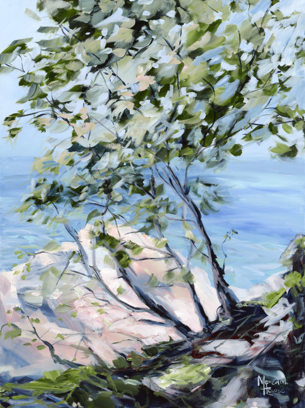 Commission - Noosa National Park. by Meredith Howse Art