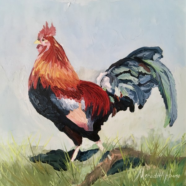 Red Jungle Fowl of Kauai by Meredith Howse Art