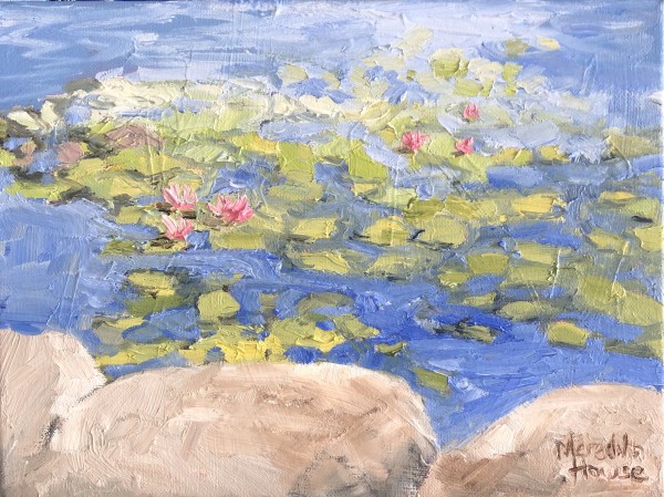 Lambing Flats Pond at Young by Meredith Howse Art