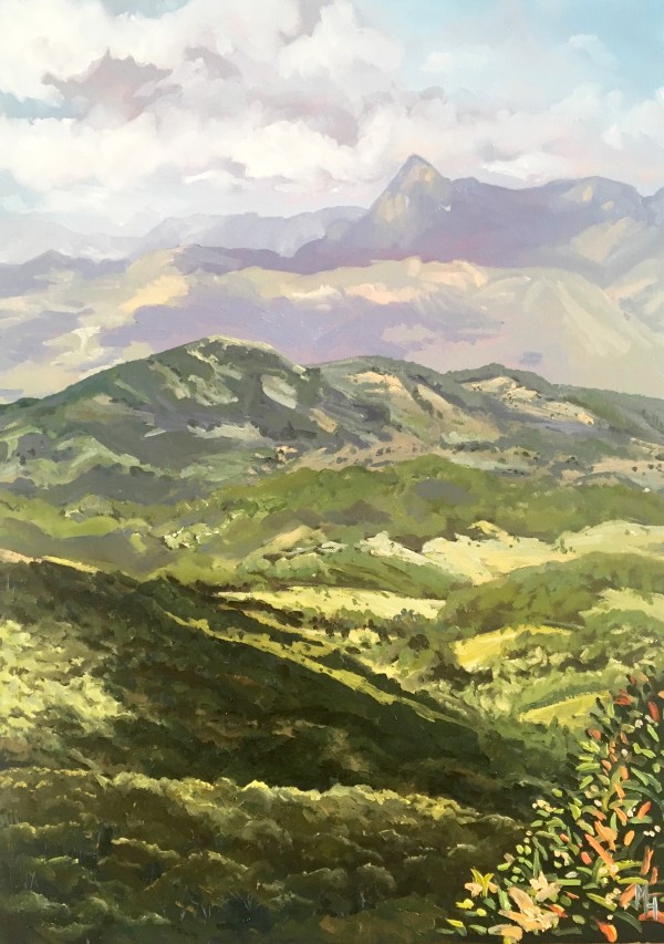 Mount Warning by Meredith Howse Art