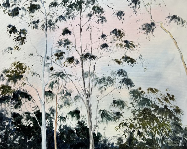 Illumination of White Gum Tree by Meredith Howse Art