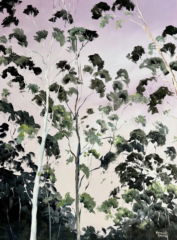 Illumination of Gum Trees by Meredith Howse Art