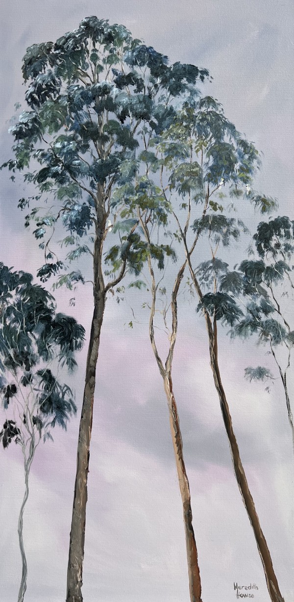 Illumination Trees of Stuartholme by Meredith Howse Art