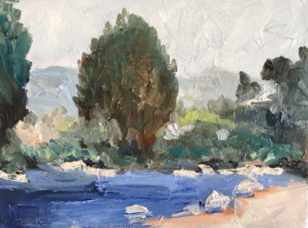 Pine Island, Canberra by Meredith Howse Art