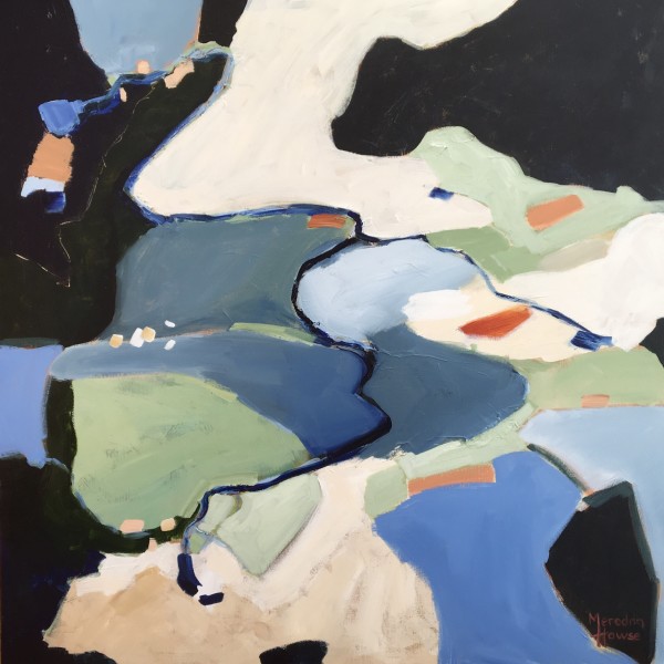 We of the Never by Meredith Howse Art