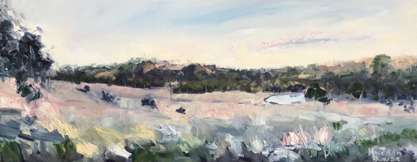 View to Pioneer Park from Coota Hill by Meredith Howse Art