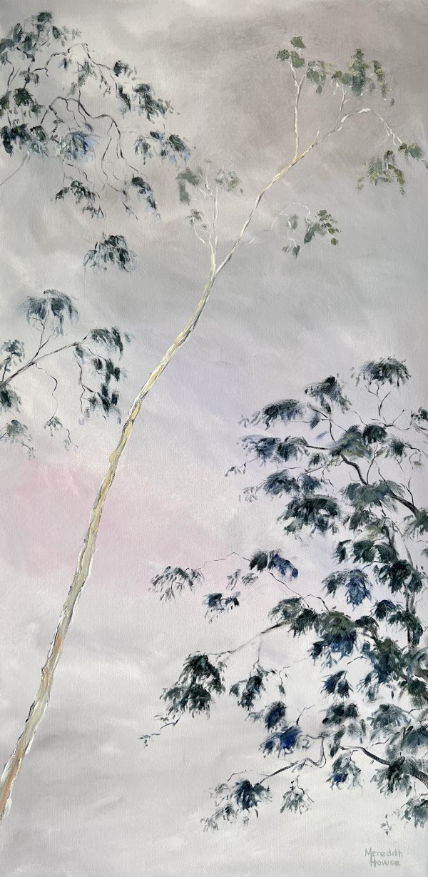Illumination of Blue Gum by Meredith Howse Art