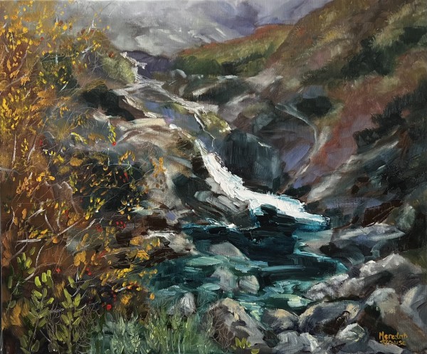 Fairy Pool of Skye by Meredith Howse Art
