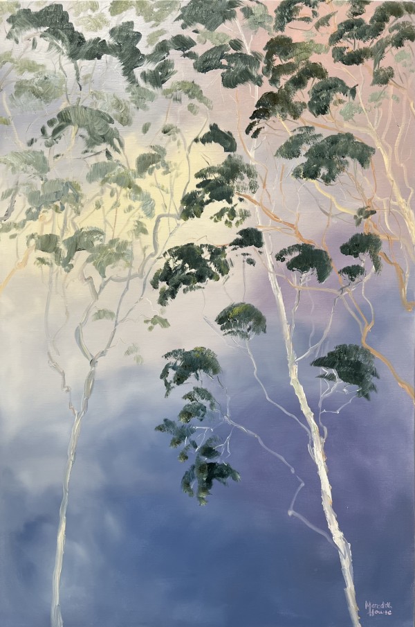 Illumination Towering Trees by Meredith Howse Art