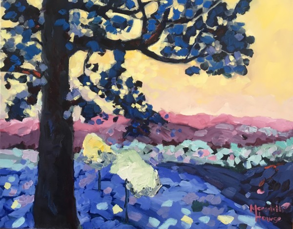Queensland Kauri by Meredith Howse Art
