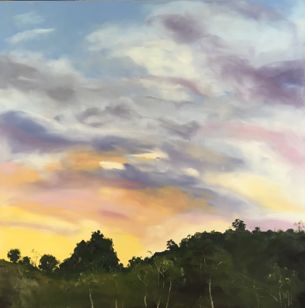 Sunset at Adelong by Meredith Howse Art
