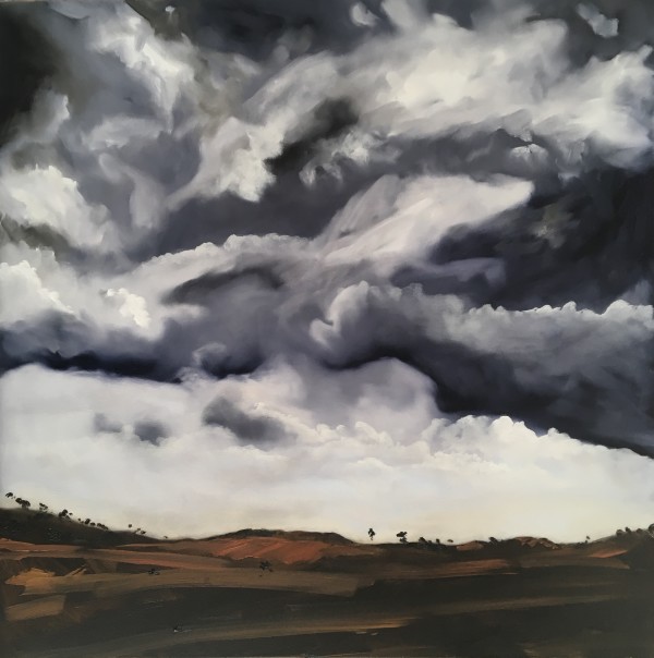 Storm brewing over Muttama by Meredith Howse Art